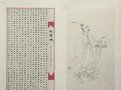 陆慧晓
